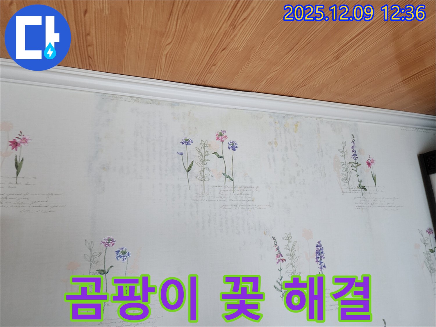 포천 영중면 누수 문제 - 곰팡이 꽃 벽지 문제를 해결하고 건강하고 아름다운 집으로 만들어 드리는 완벽한 누수 공사