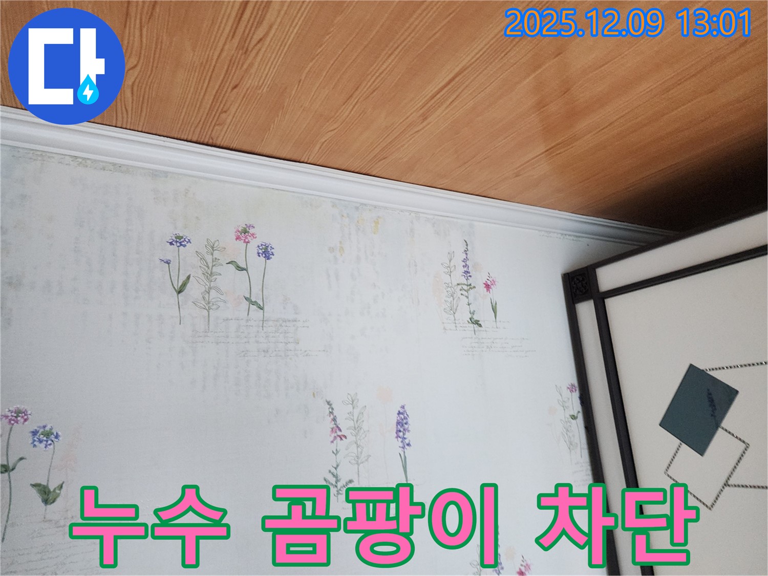 포천 영중면 누수 현장 - 곰팡이 발생 전 누수 완벽 차단 솔루션