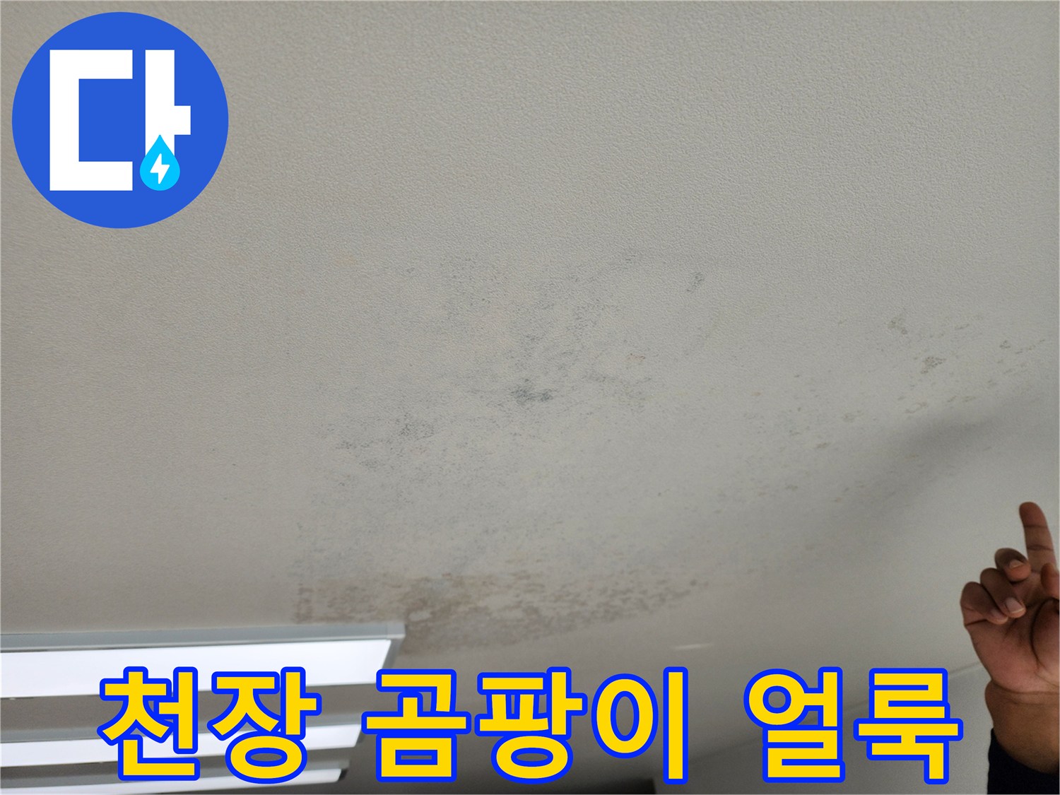 포천 영중면 현장의 천장 벽지 곰팡이와 얼룩 상태입니다.