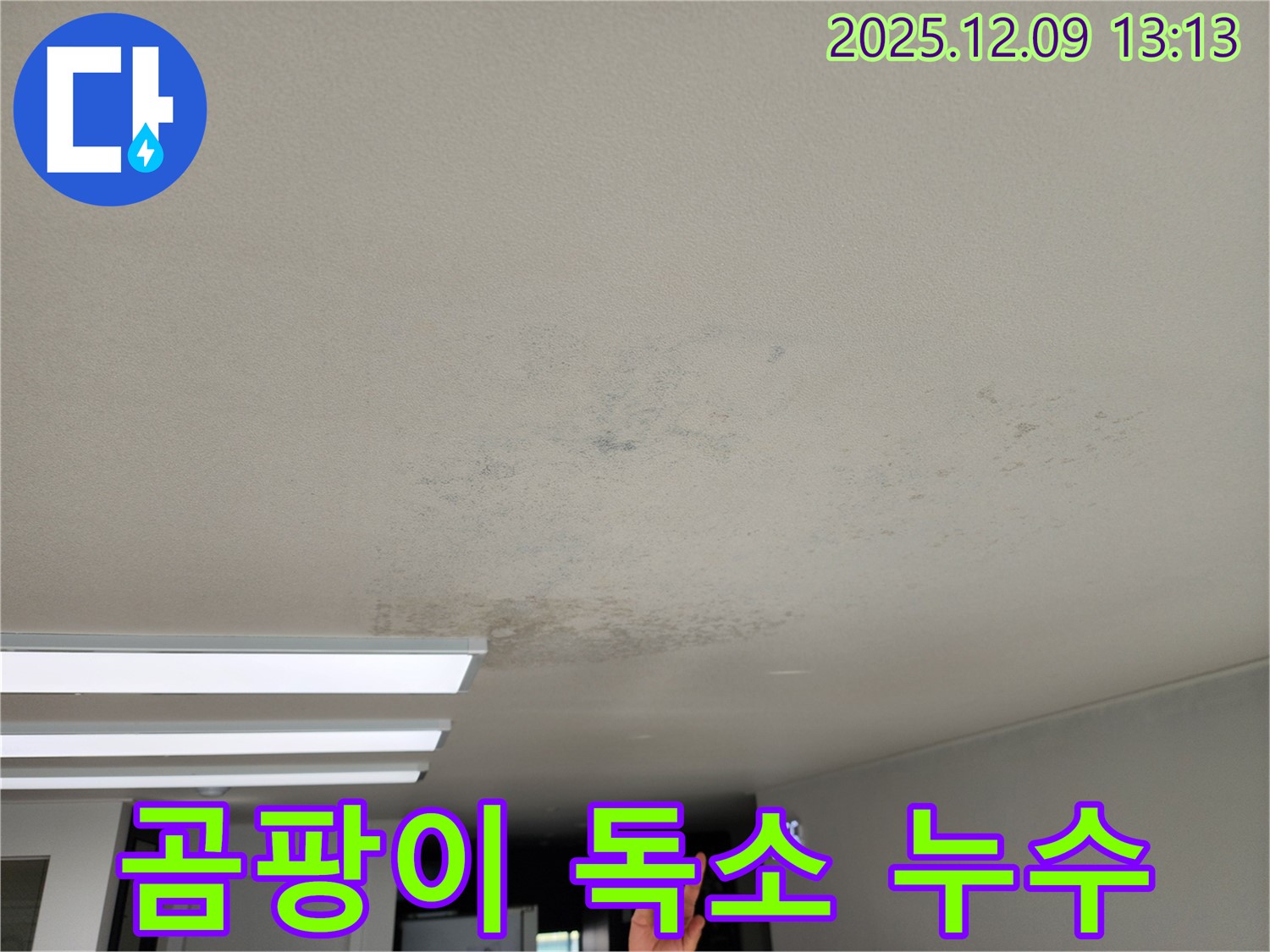 포천시 영중면 성동리 - 곰팡이 독소, 온 가족 건강을 위협하는 천장 누수