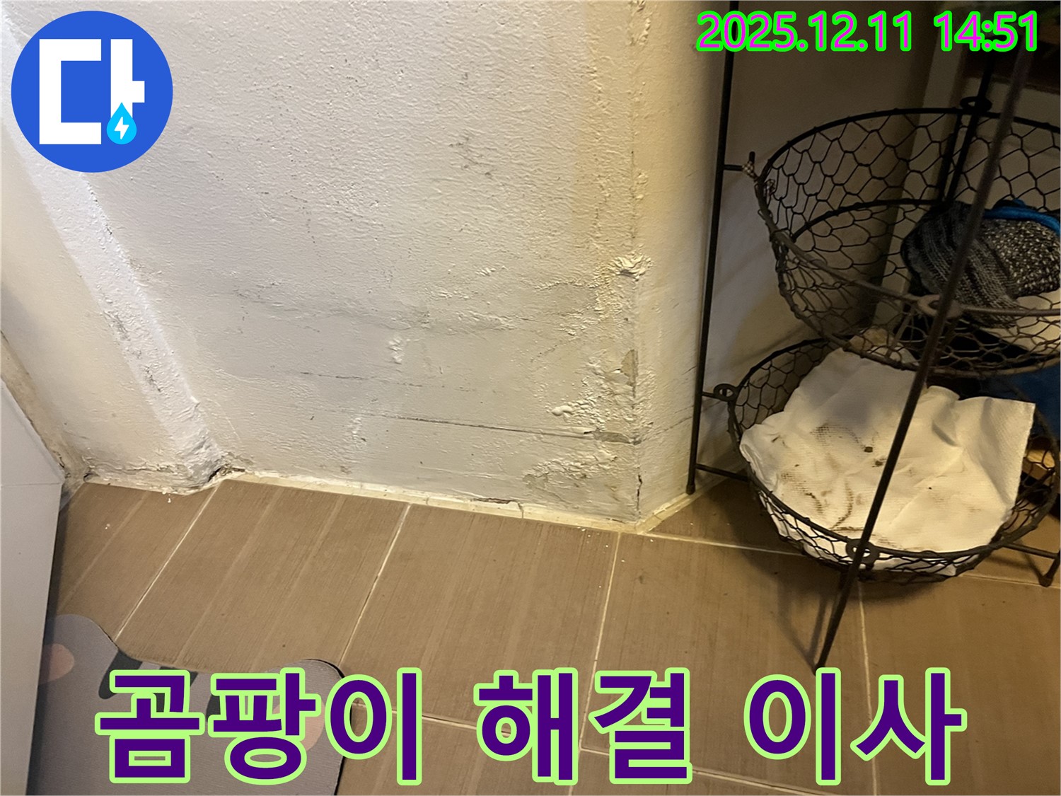 마포 누수탐지 - 곰팡이 제거 후 모래내로 쾌적한 우리 집으로 이사
