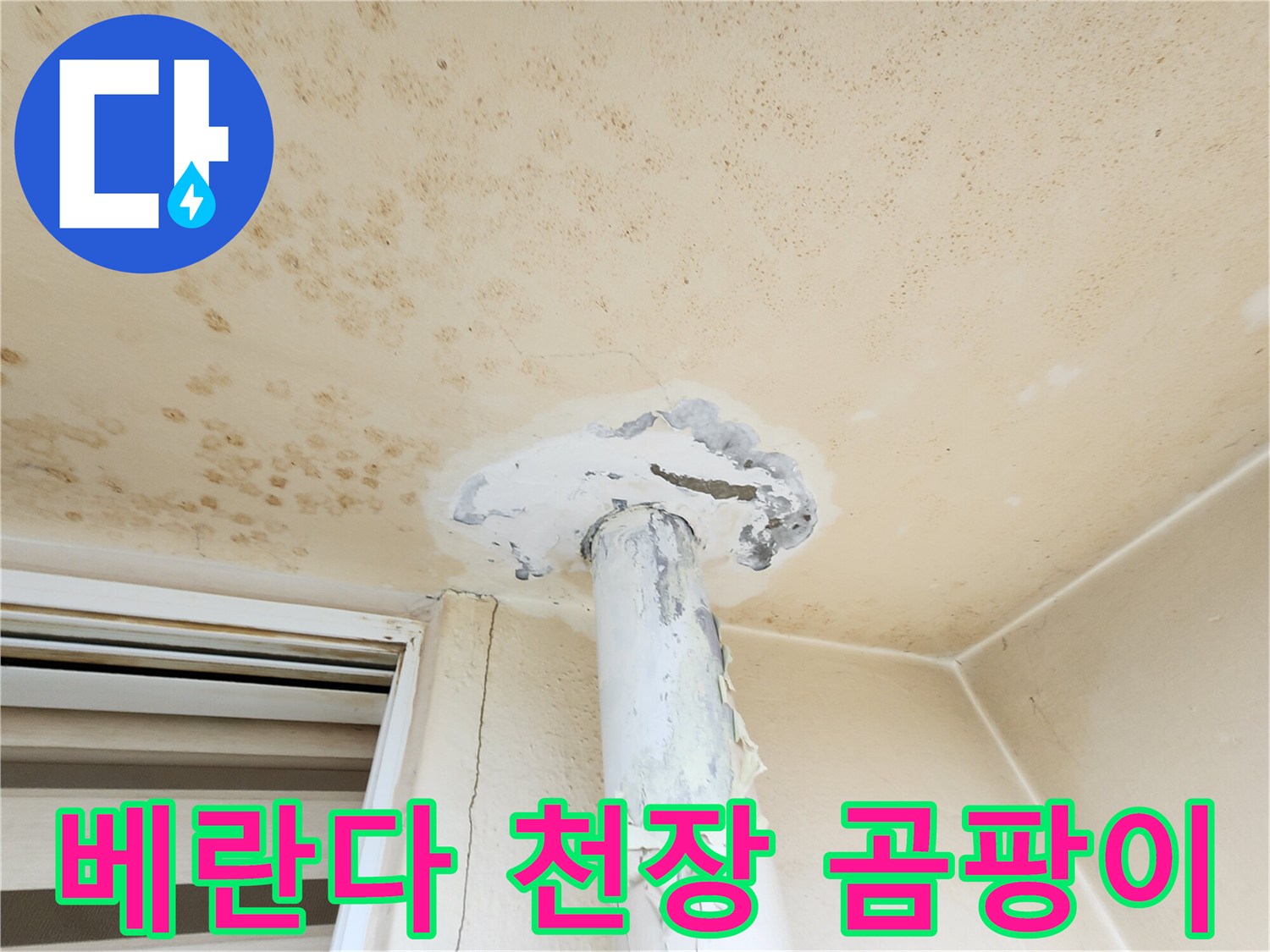 곰팡이가 번진 베란다 천장의 오염된 상태