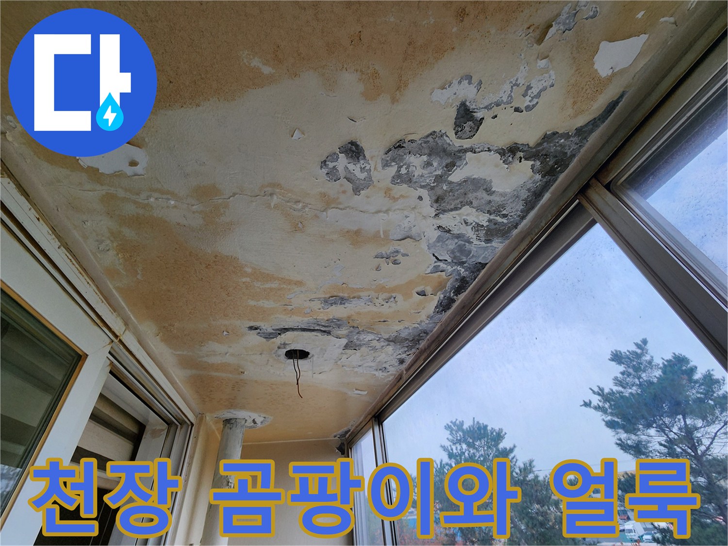 누수로 인해 발생한 베란다 천장의 곰팡이 및 오염 부위
