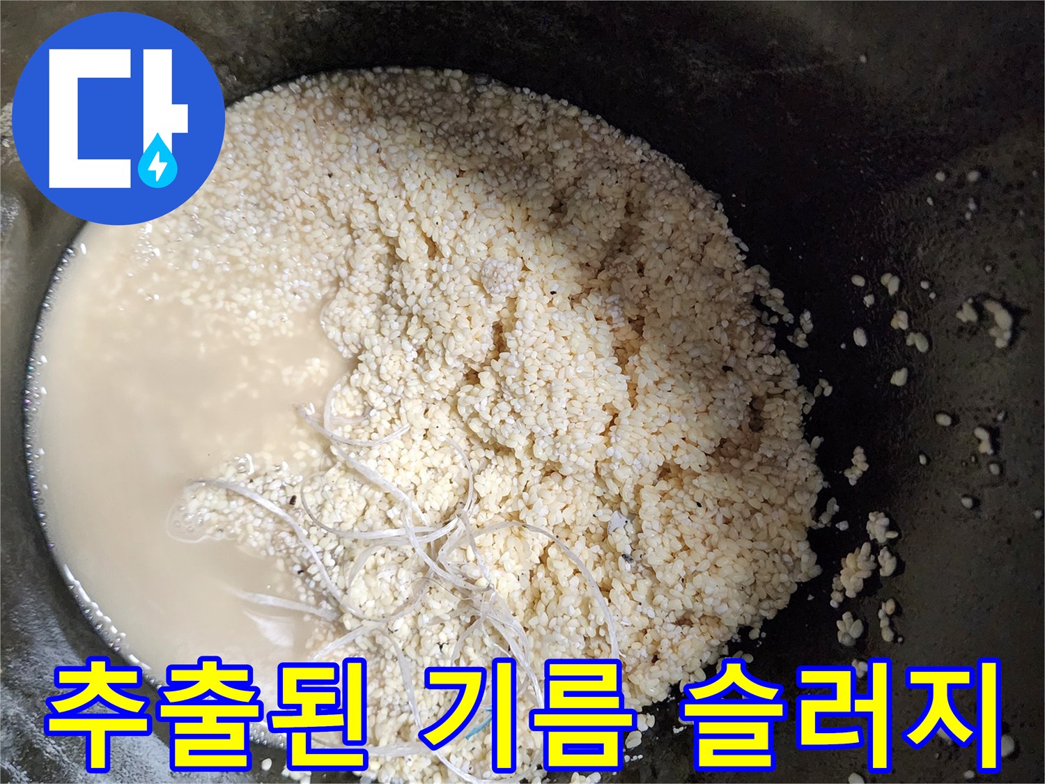 배관 청소 중 수거된 하얀색 유지방 덩어리와 오염된 물
