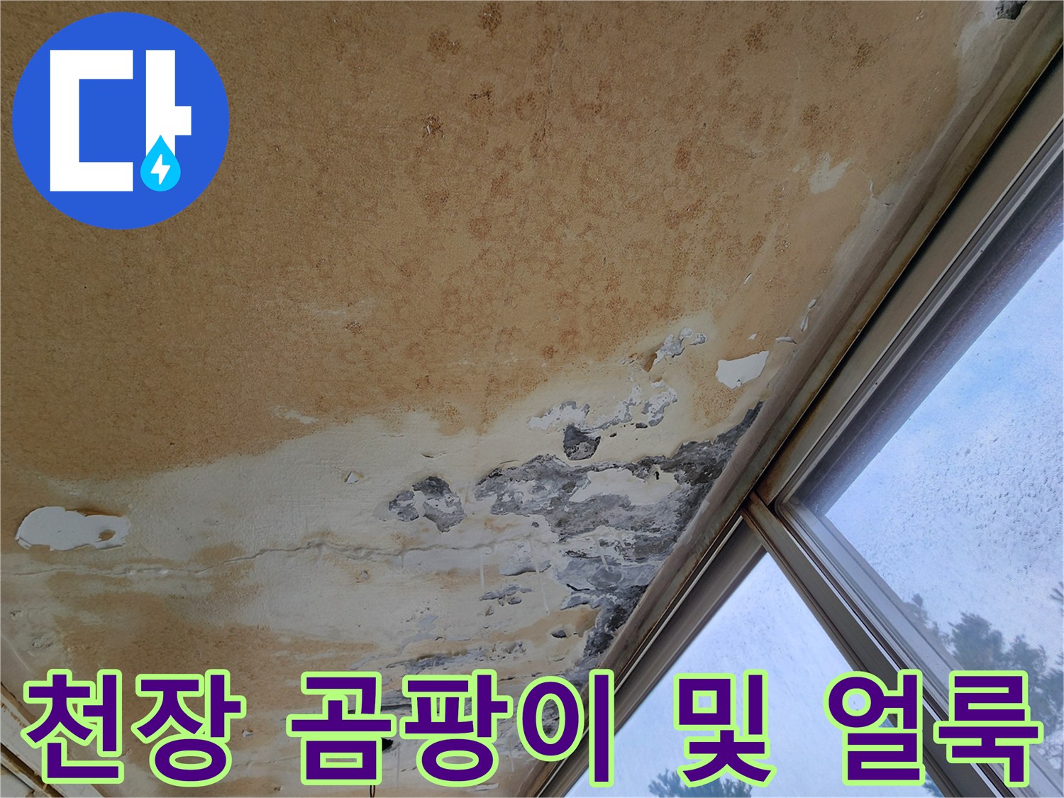 베란다 천장 부근-곰팡이가 피어오른 천장 마감재 상태