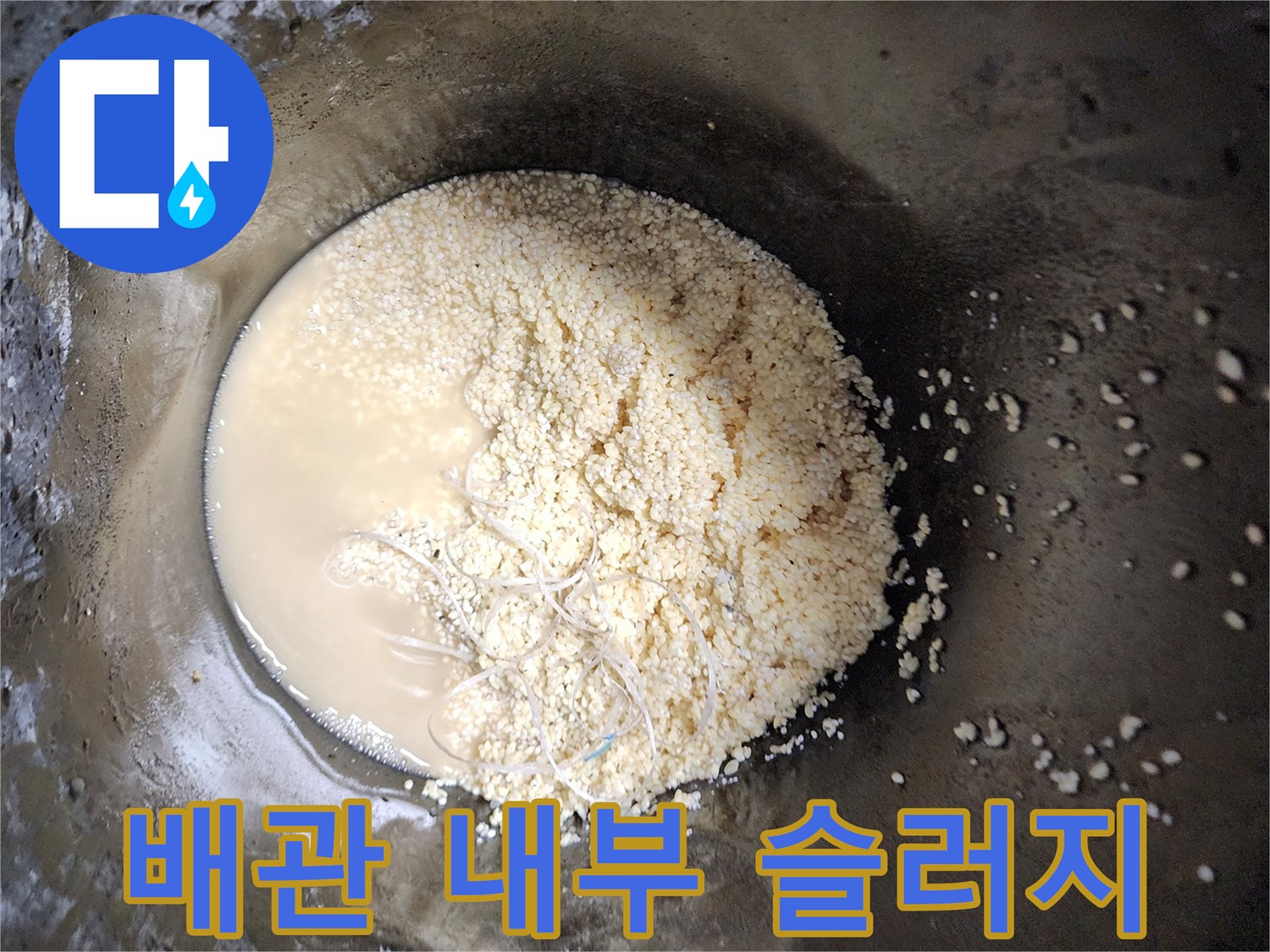 석션 작업 후 수거된 배관 내 유지방 덩어리와 오염수