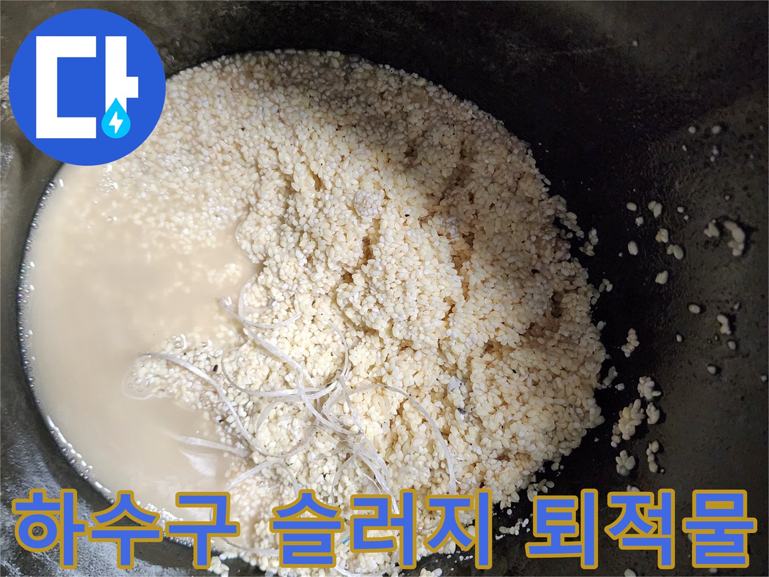 석션 장비로 끌어올린 배수관 내부의 유지방 덩어리와 오수