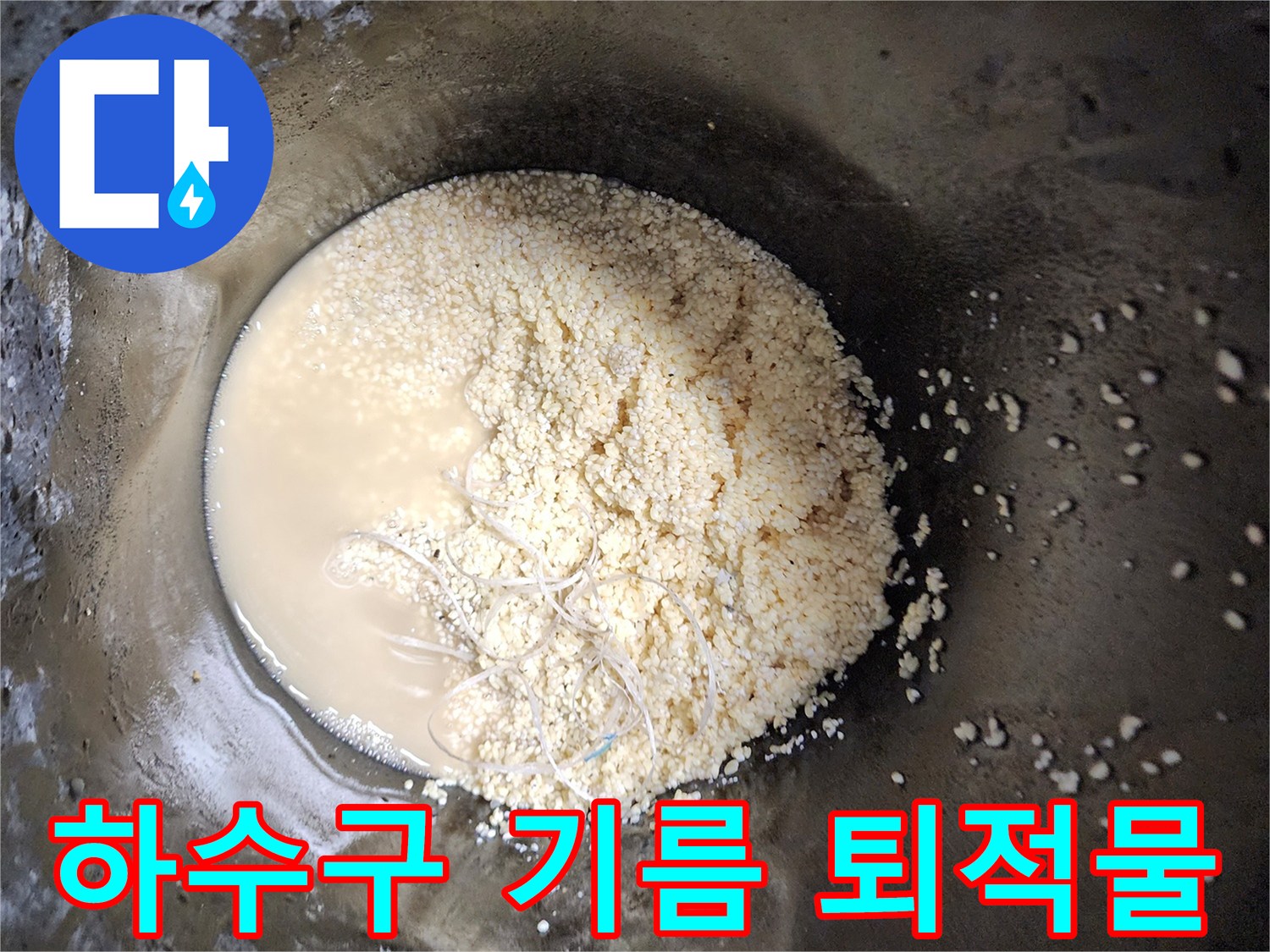 싱크대 배관에서 추출된 하얀색 유지방 슬러지 덩어리