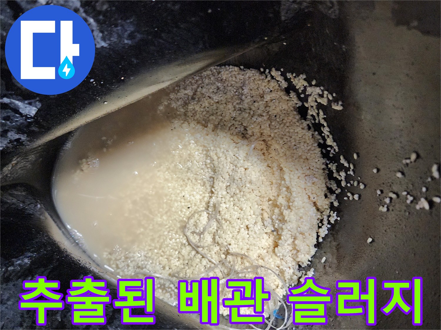 싱크대 배수관에서 뽑아낸 덩어리진 기름 이물질