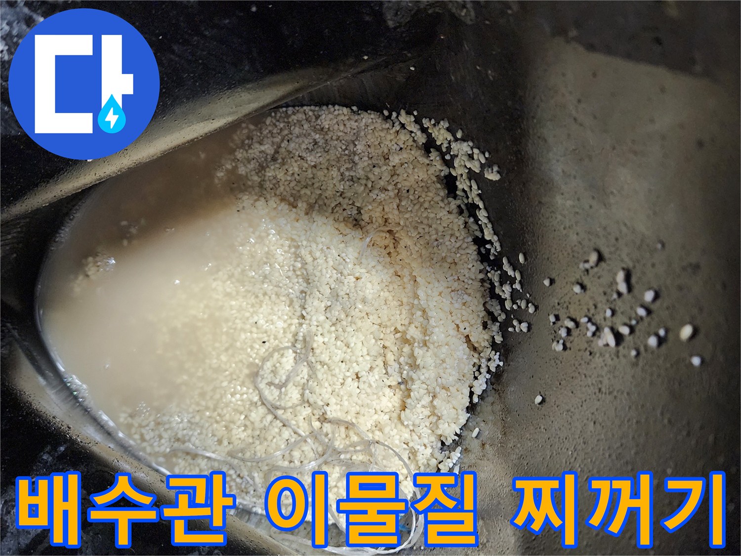 싱크대 배수관에서 뽑아낸 탁한 물과 기름 슬러지 덩내