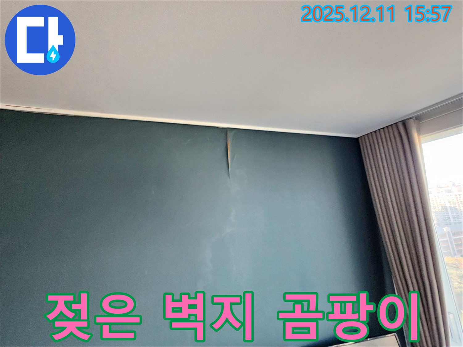 젖은 벽지 - 곰팡이 번식 - 포천 누수 전문가의 신속 해결