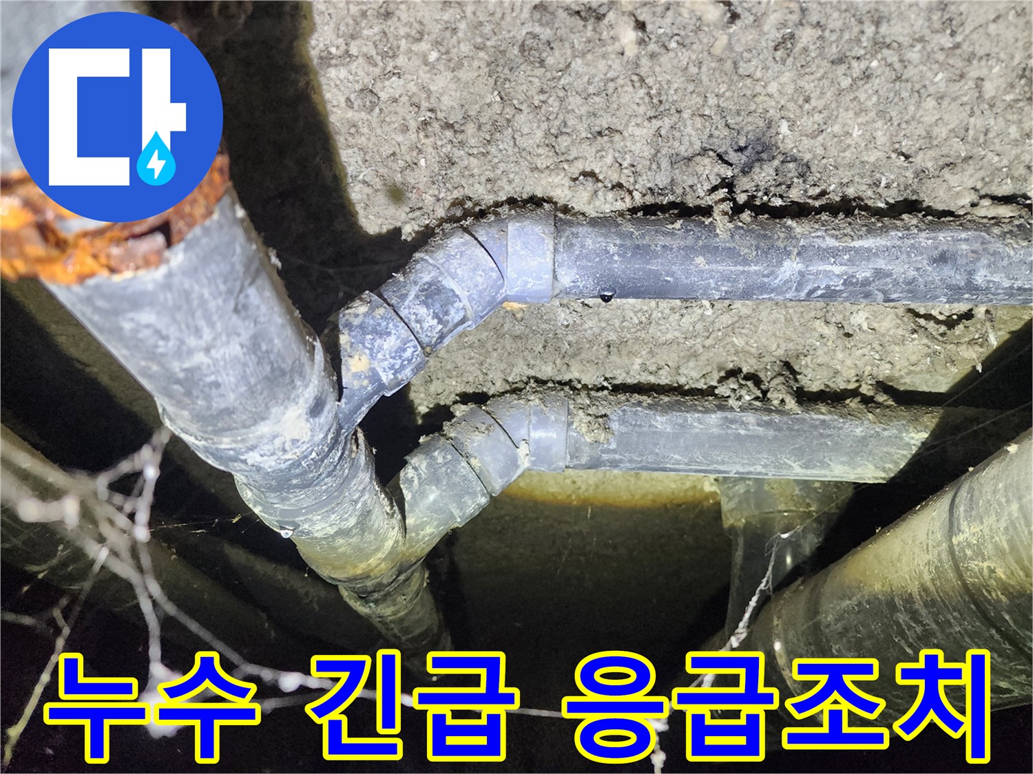 보문동 아남아파트 지하실 천장 배관 누수 발생-긴급 진단 후 응급조치 진행