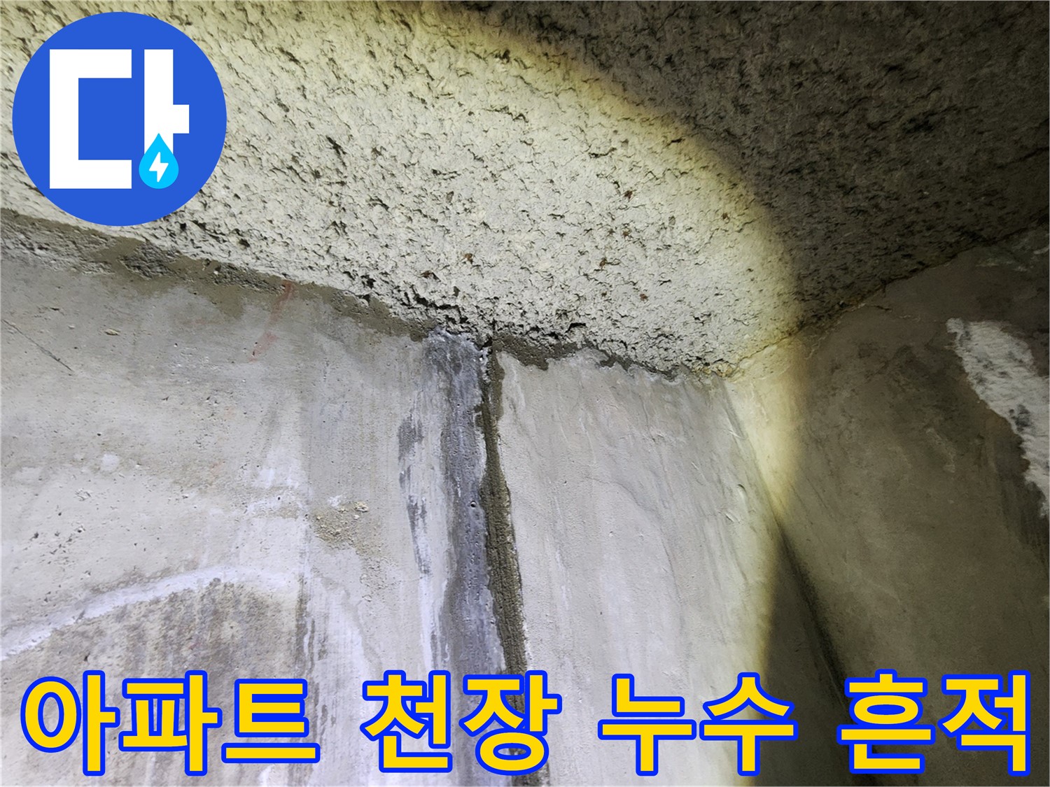 보문동 아남아파트 천장 누수 흔적 - 누수탐지 전문가의 정확한 진단과 해결