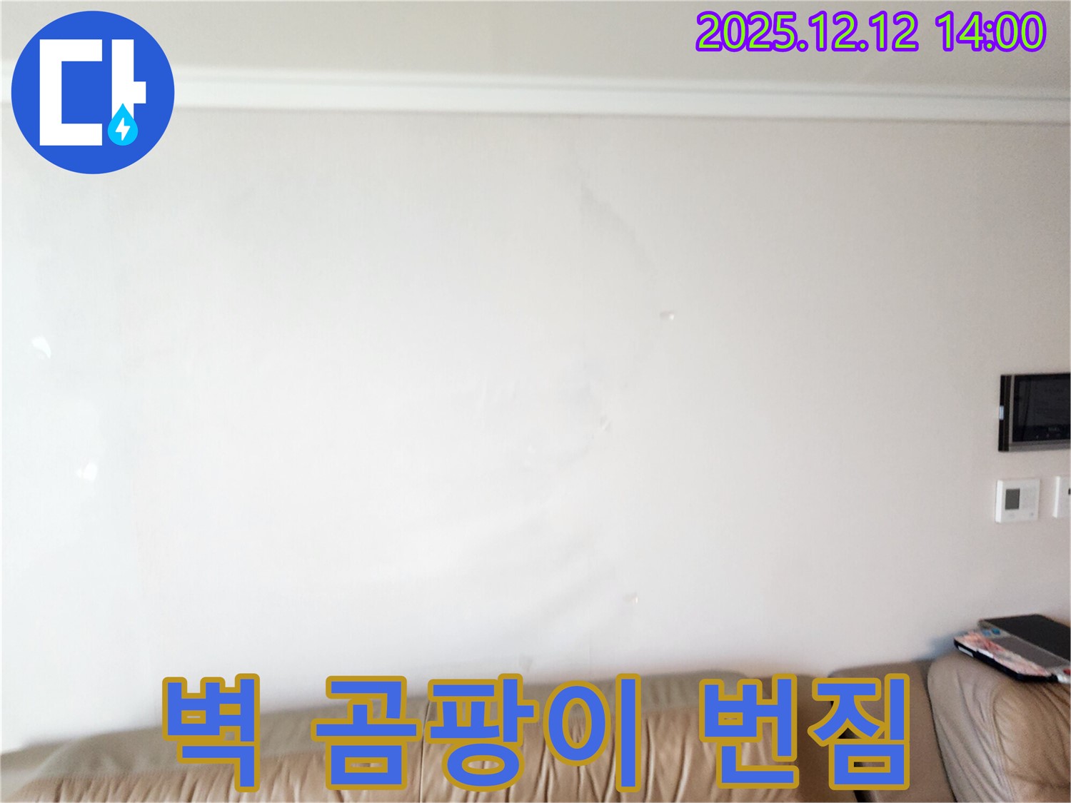 벽에 곰팡이가 점점 번지는 모습 - 영중면 후동리 누수 현장에서 벽에 곰팡이가 점점 번지는 모습입니다 - 누수 확산! 서둘러 전문가에게 맡기세요.