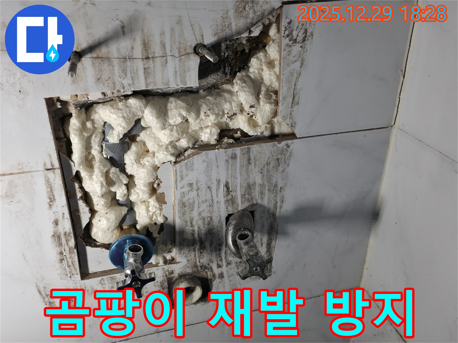 보문동 아남아파트 누수 - 곰팡이 제거, 스티로폼 시공으로 재발 방지