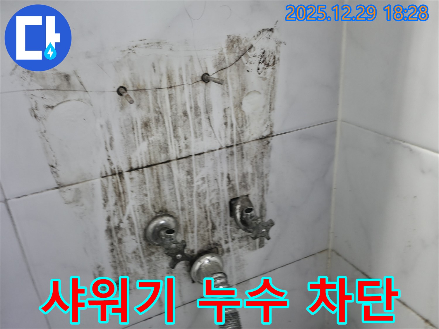 보문동 아남아파트 샤워기 누수 차단 - 누수탐지 전문가가 정확한 원인 분석과 꼼꼼한 시공으로 누수를 완벽하게 차단했습니다.