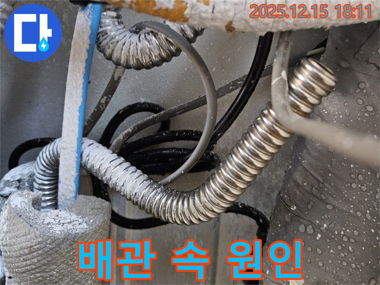장안동 래미안장안2차 아파트 누수 - 복잡하게 얽힌 배관 속에서 누수 원인을 찾아내는 과정입니다.