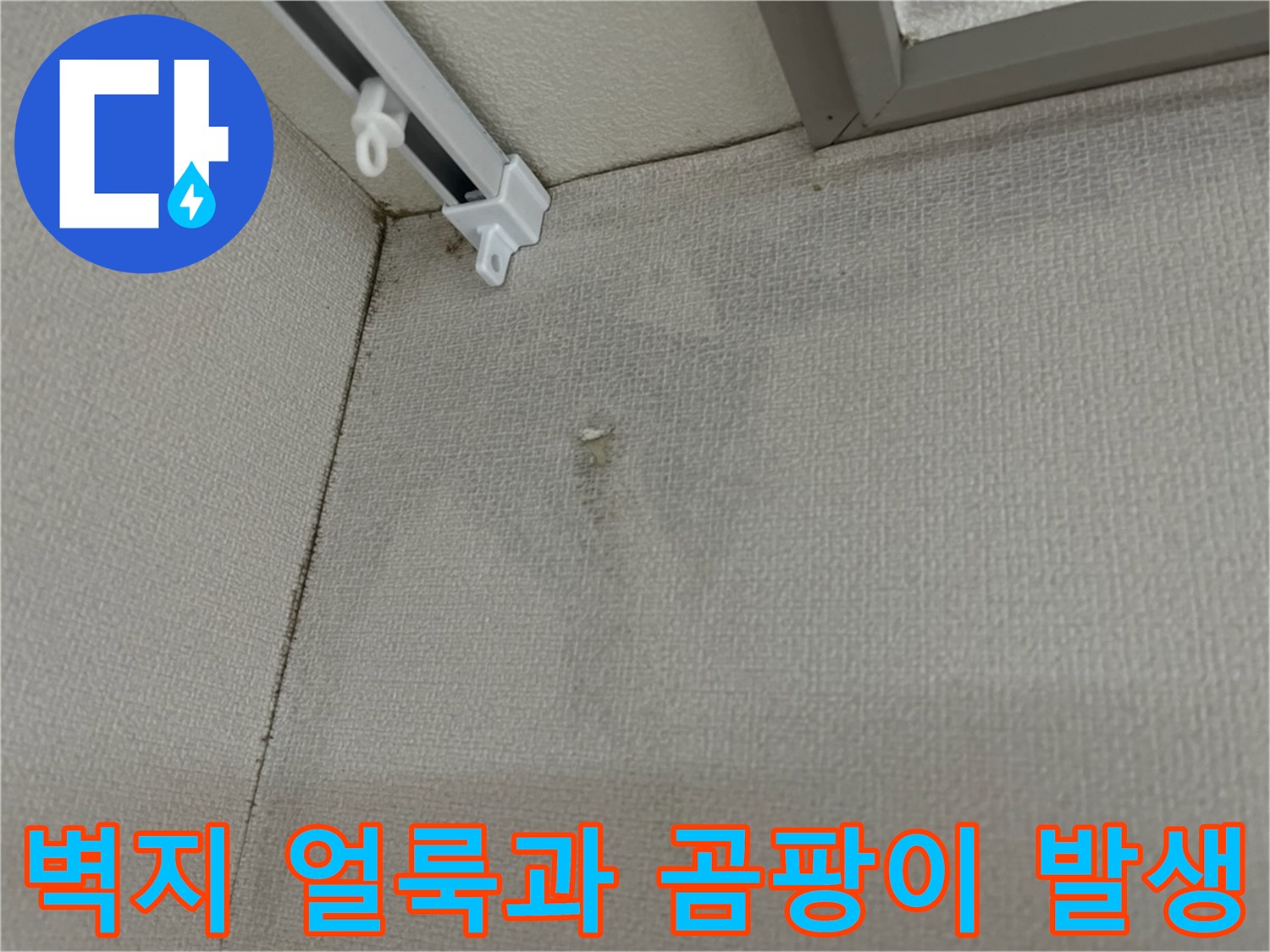 천장 몰딩 아래쪽 벽지에 나타난 누수 흔적 및 곰팡이 오염 부위