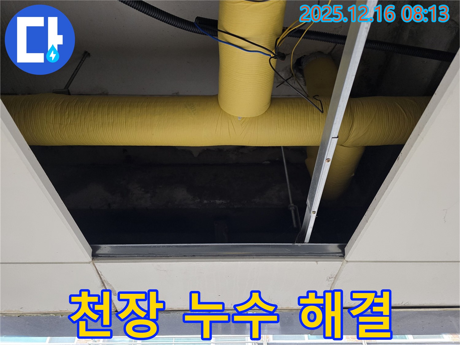 천장 누수 해결 - 누수탐지 전문가의 완벽 시공