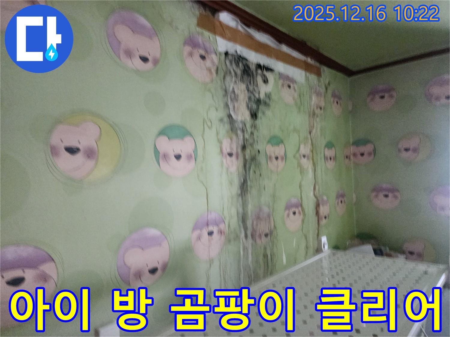 경기도 포천시 영북면 운천2리 아이 방 벽면의 곰팡이 - 곰팡이 제로 클리어, 쾌적한 공간으로 변신!
