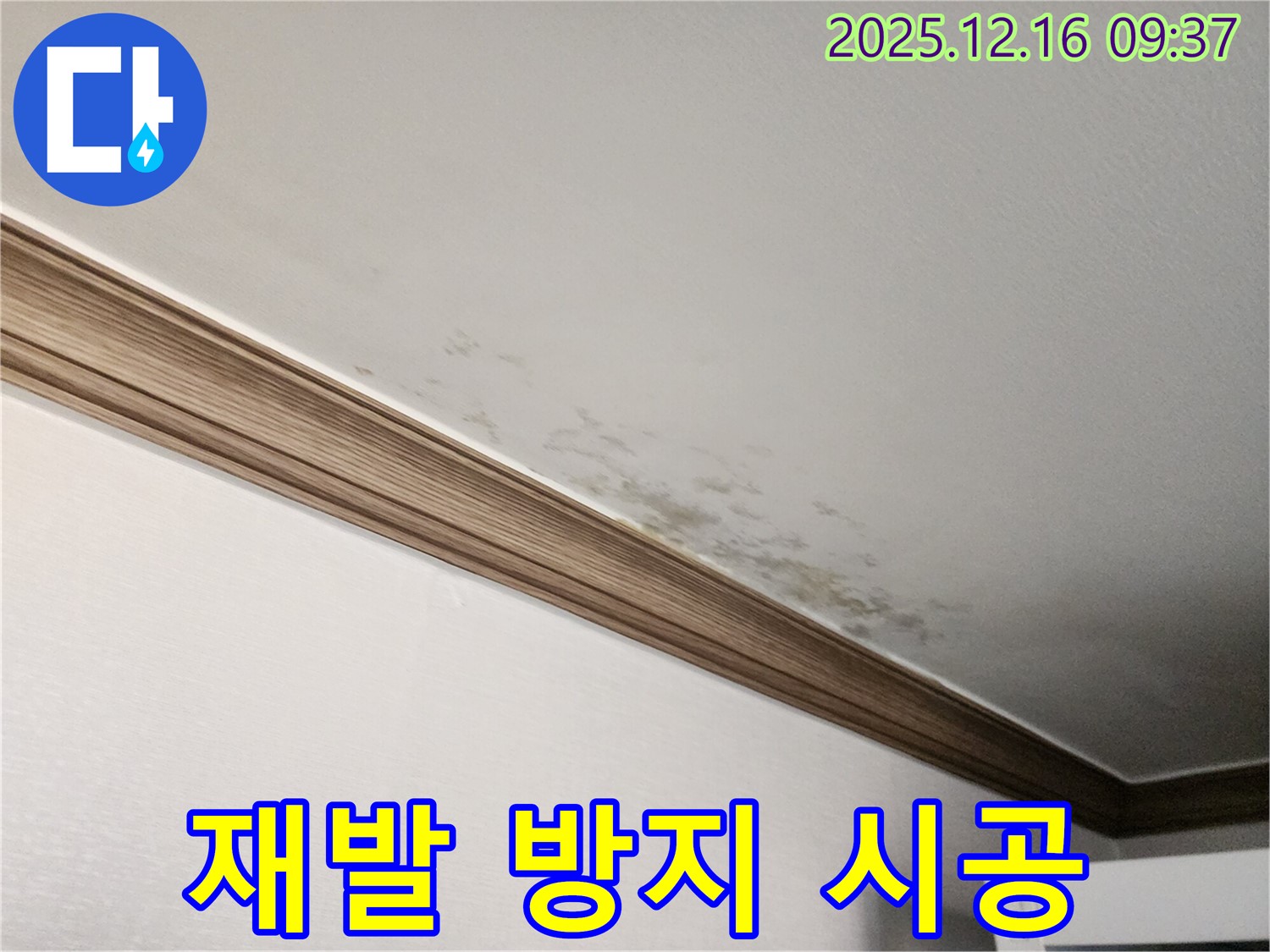 경기도 포천시 영북면 운천리 곰팡이 핀 천장 - 누수 해결과 곰팡이 제거, 확실한 재발 방지 시공