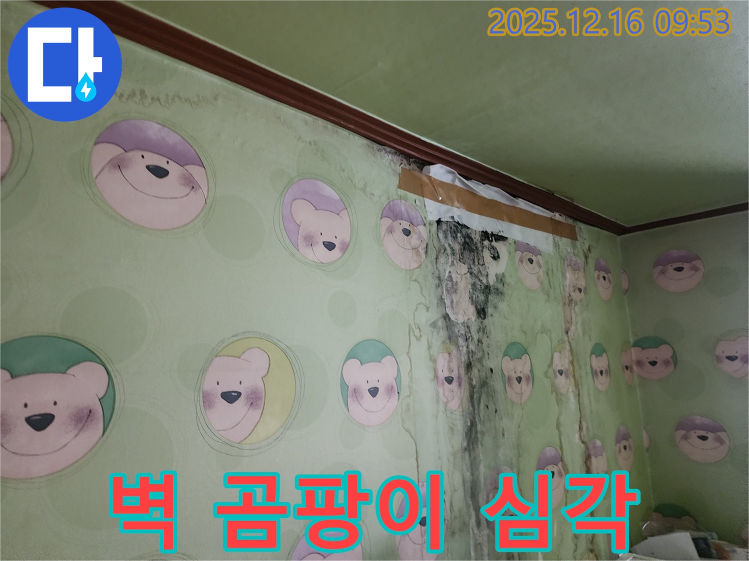벽에 곰팡이가 심하게 번식하여 벽지가 손상된 모습입니다 - 곰팡이 제거와 누수 해결이 시급합니다.