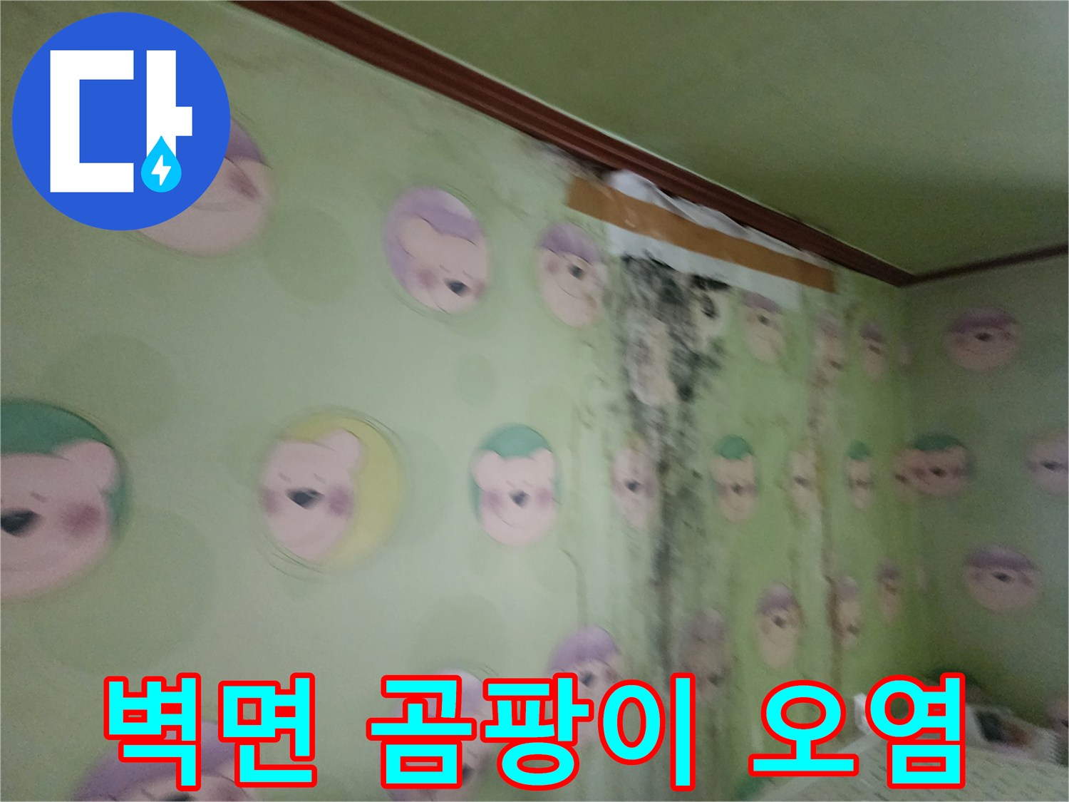 포천 영북면-심각하게 번진 곰팡이와 젖은 벽지 모습