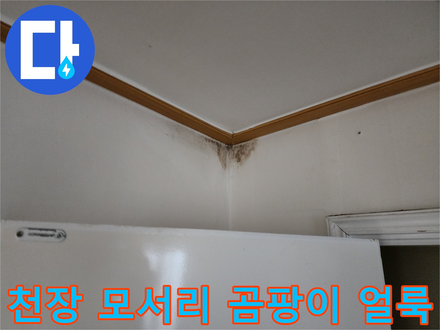 벽지와 천장이 만나는 모서리 부분에 발생한 검은색 곰팡이와 변색 흔적