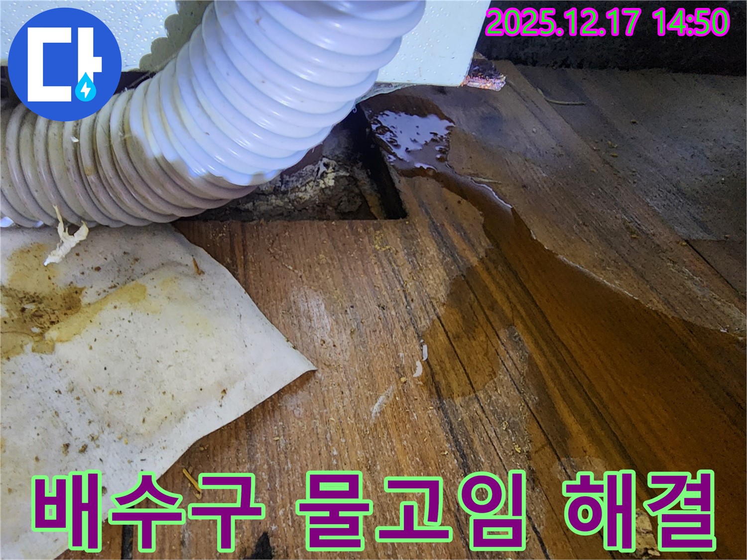 영북면 대회리 누수 - 싱크대 배수구 주변에 물이 고여 있는 것을 확인하고 꼼꼼하게 점검 후 완벽하게 해결하는 모습입니다.