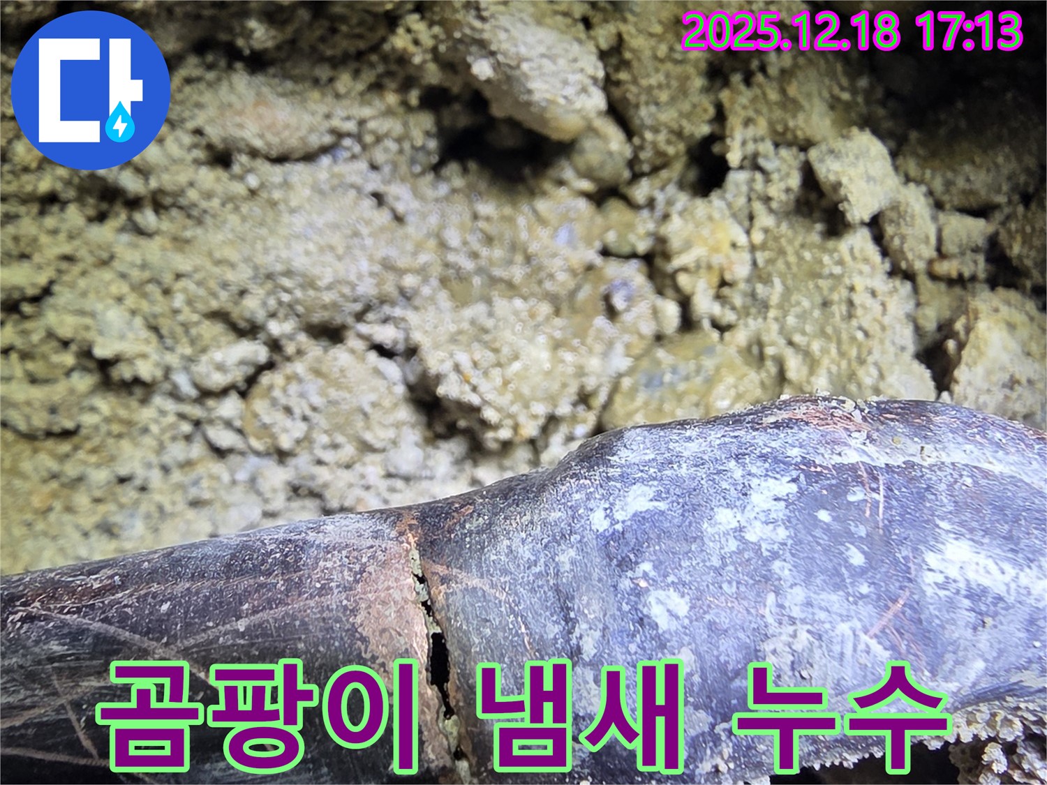 곰팡이 냄새의 진실 - 시흥 신천동 누수탐지 전문