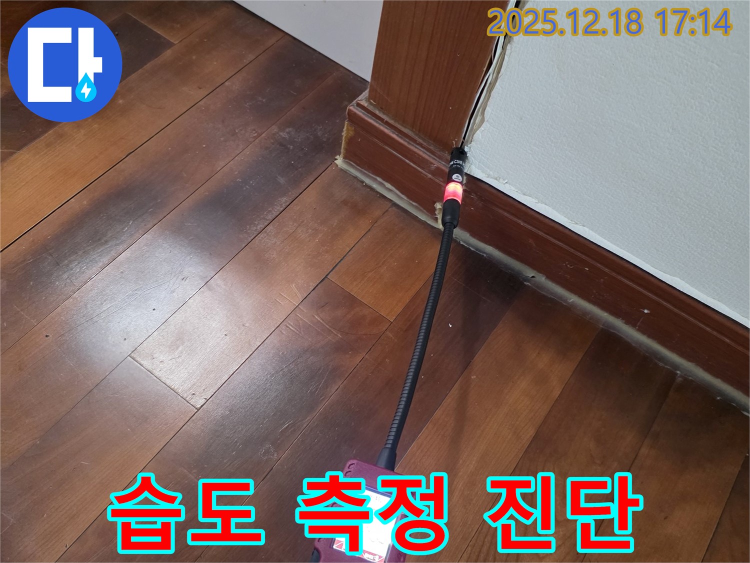신천동 누수 - 몰딩 주변 습도 측정, 곰팡이 발생 위험도 진단