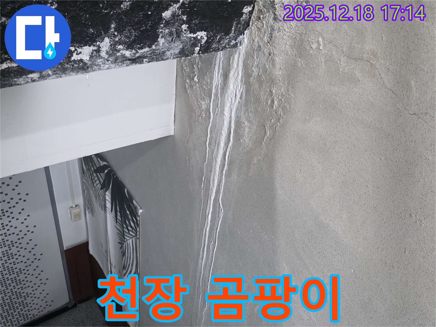 신천동 누수 - 천장 곰팡이 발생, 건강을 위협하는 누수 문제 해결