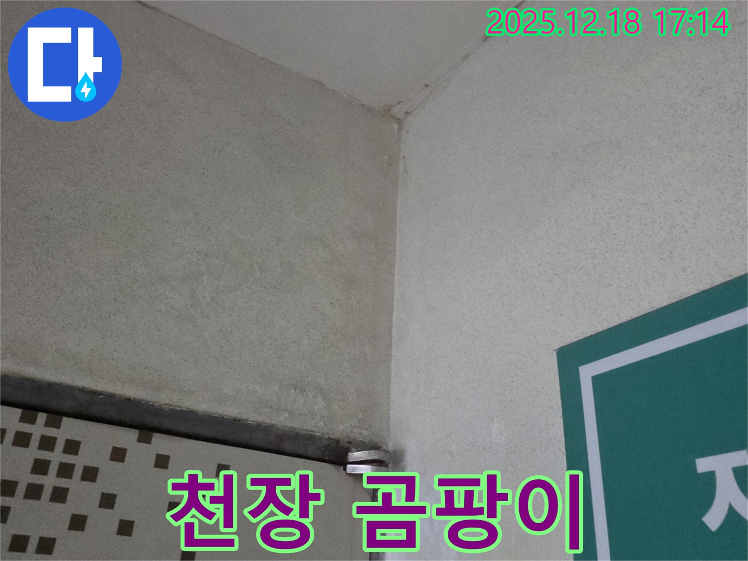 천장 곰팡이 - 천장에 곰팡이가 심하게 발생했습니다.