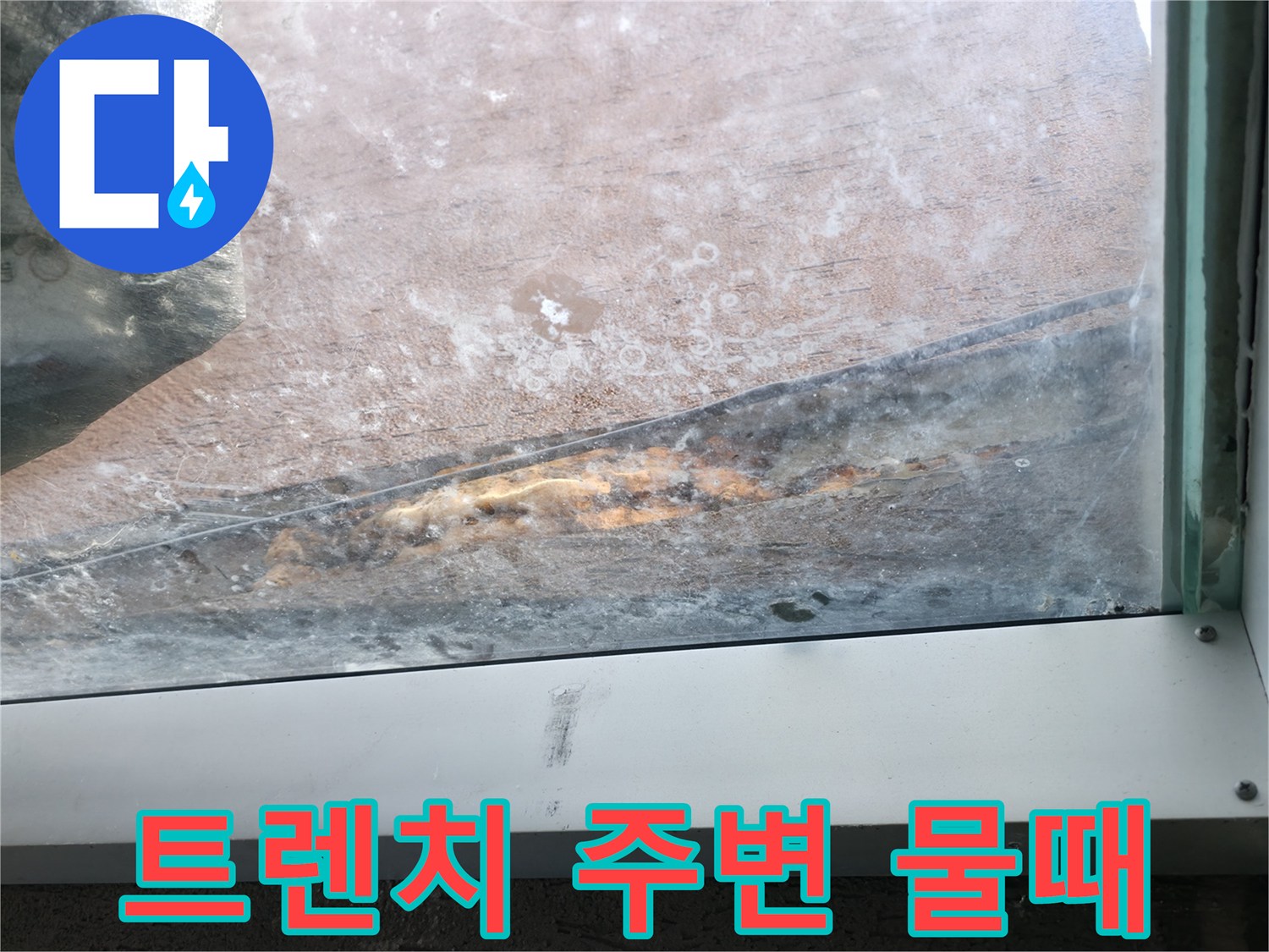 배수-트렌치-틈새로-발생한-심한-물때와-오염