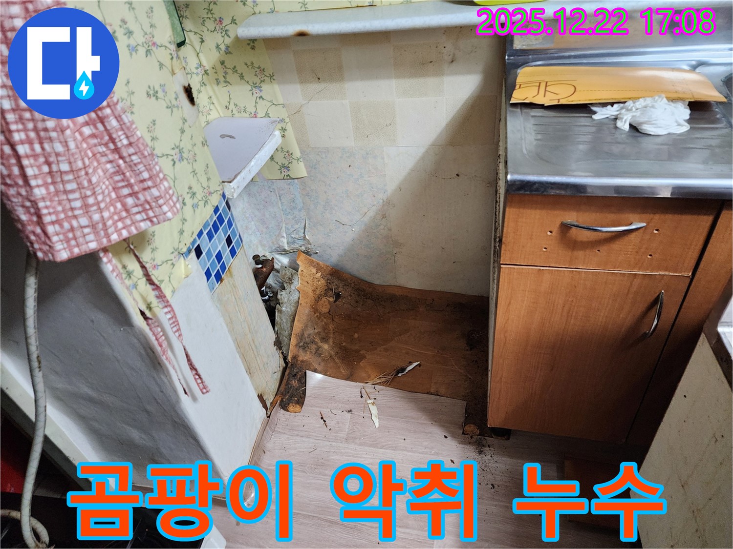 동두천 생연2동 누수 - 곰팡이와 악취를 동반한 누수 발생 - 최첨단 장비로 정확하게 탐지해서 해결합니다!