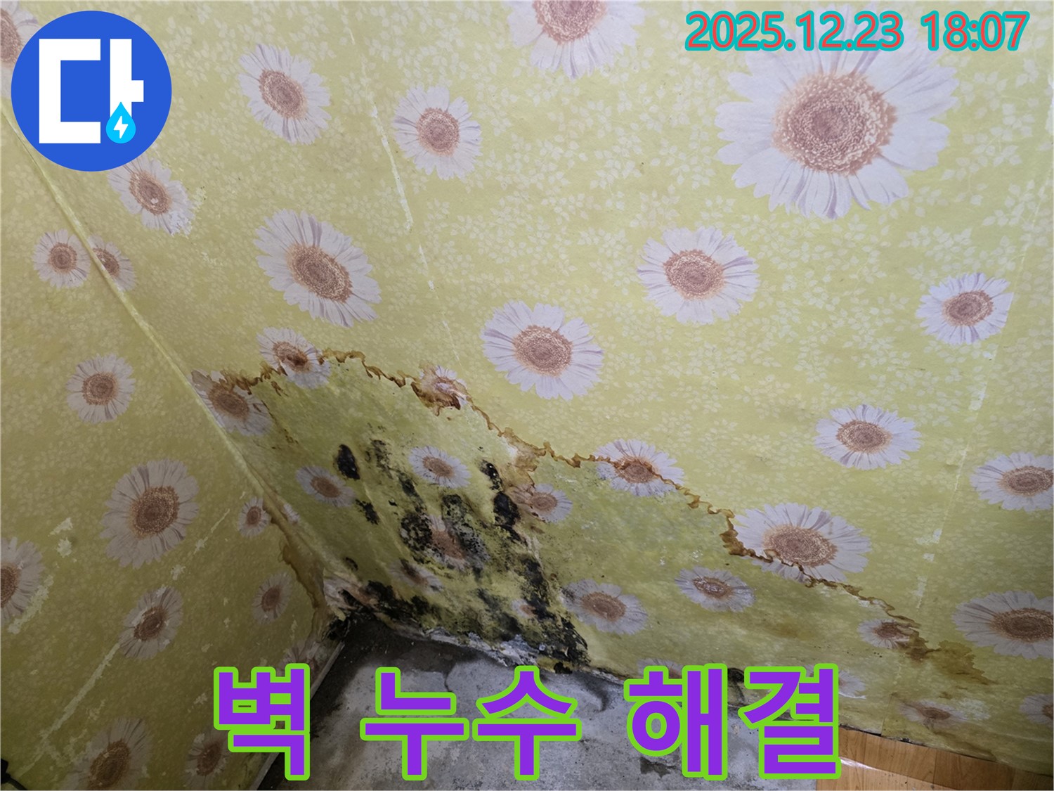 동두천 생연동 벽 누수 곰팡이 해결 - 전문적인 기술로 누수 문제 완벽하게 해결.