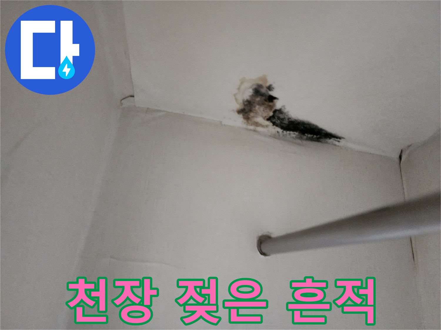 하얀 천장에 나타난 검은 곰팡이와 누수 오염 부위