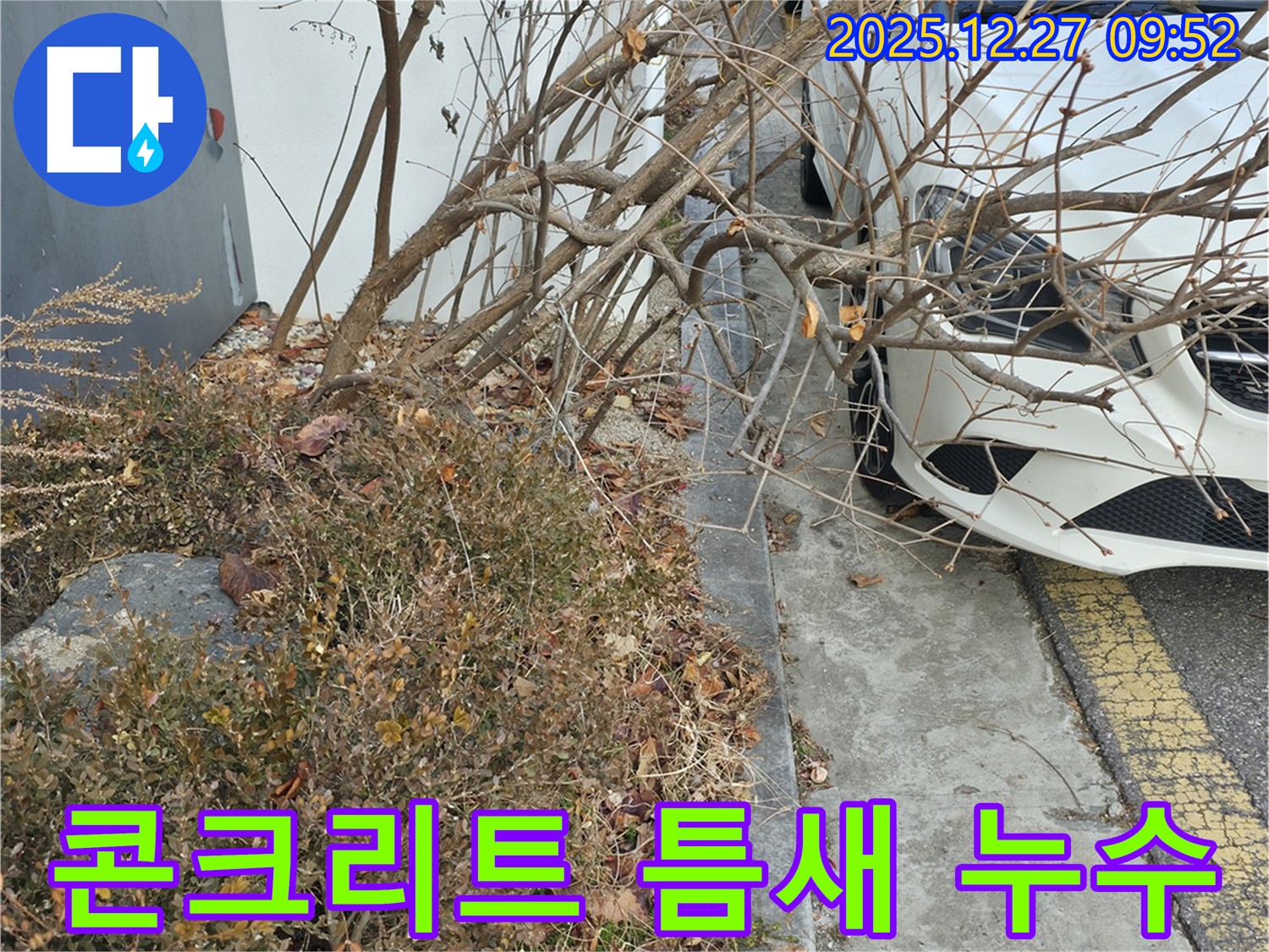 아파트 콘크리트 옹벽 틈새 누수 - 꼼꼼한 점검과 완벽한 보수 작업으로 누수 문제를 깔끔하게 해결했습니다.