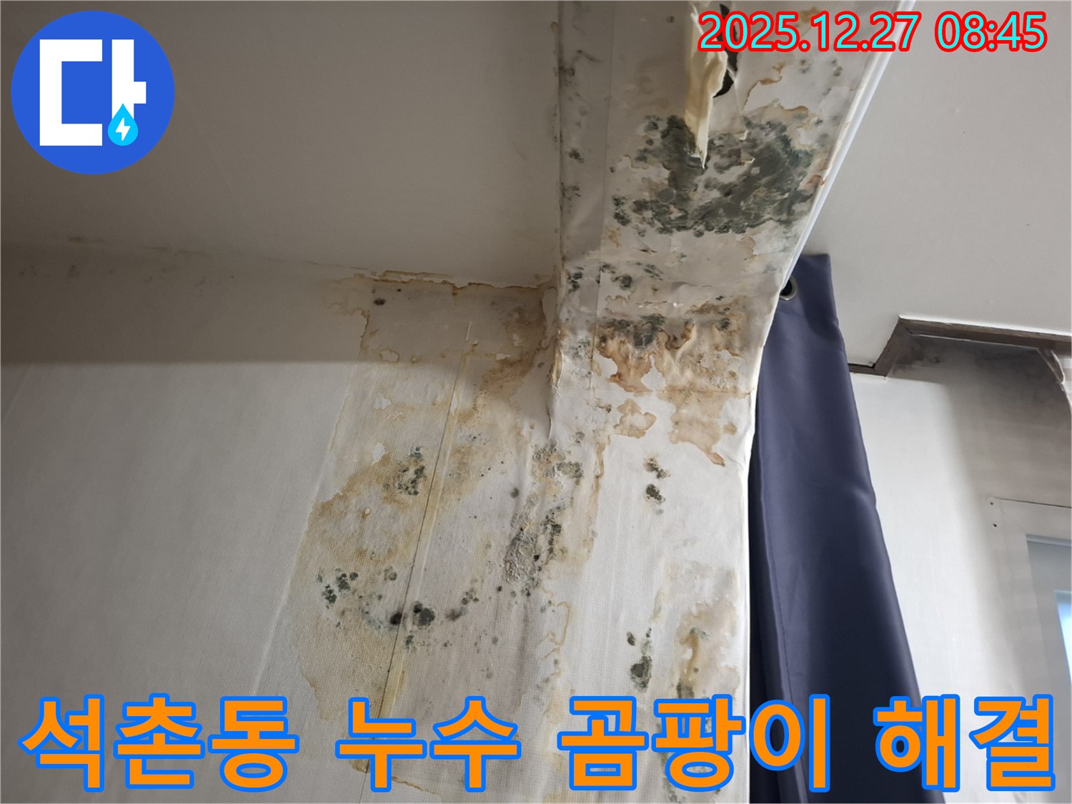 석촌동 누수 현장 - 곰팡이 문제 해결 과정, 누수탐지 전문가의 꼼꼼한 시공