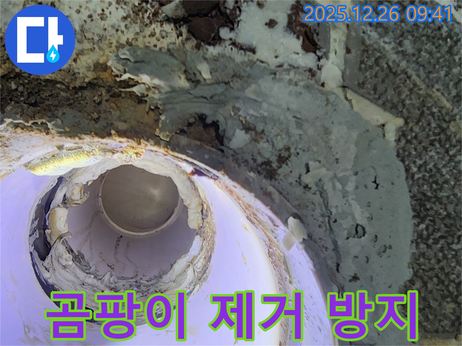상계1동 누수 - 하수관 주변 콘크리트 보수 후 곰팡이 발생, 완벽하게 제거하고 방지했습니다.
