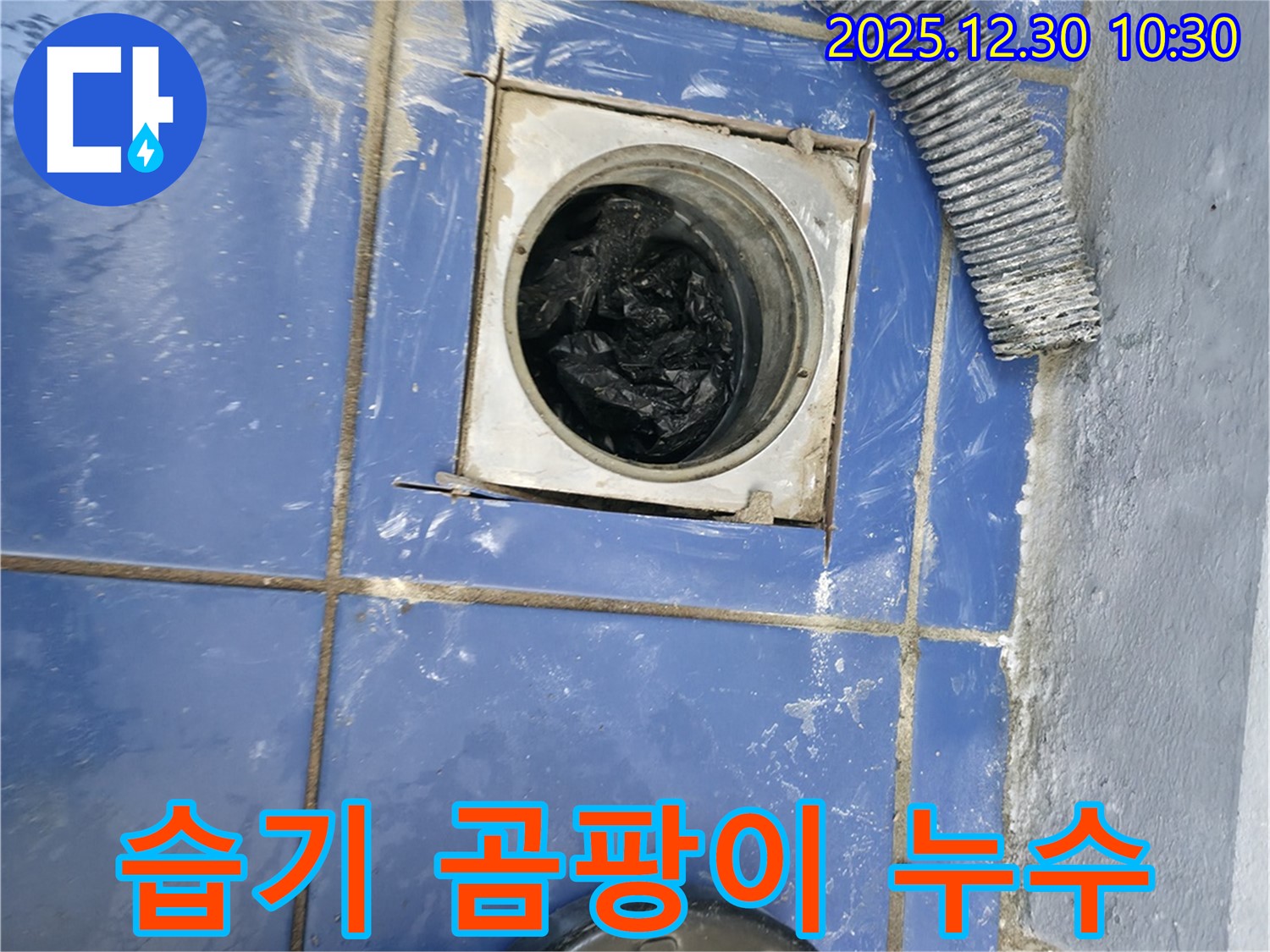 성동구 욕실 배수구 주변 습기 및 곰팡이 문제 - 누수 원인 제거로 쾌적한 환경 조성