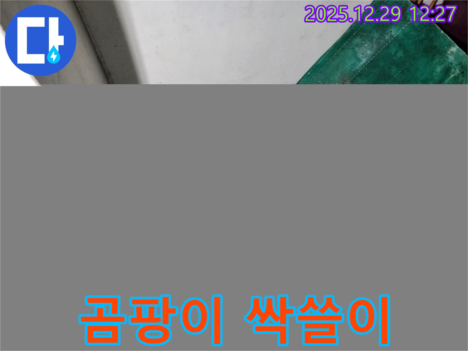노원구 상계2동 누수 현장 - 지하실 곰팡이 문제 해결 - 싹쓸이 대작전