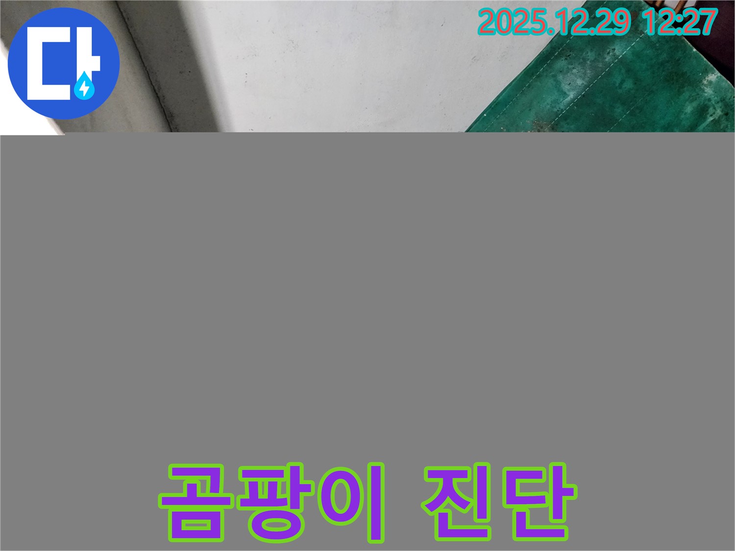 상계2동 누수 - 곰팡이 핀 지하실 - 건강 적신호