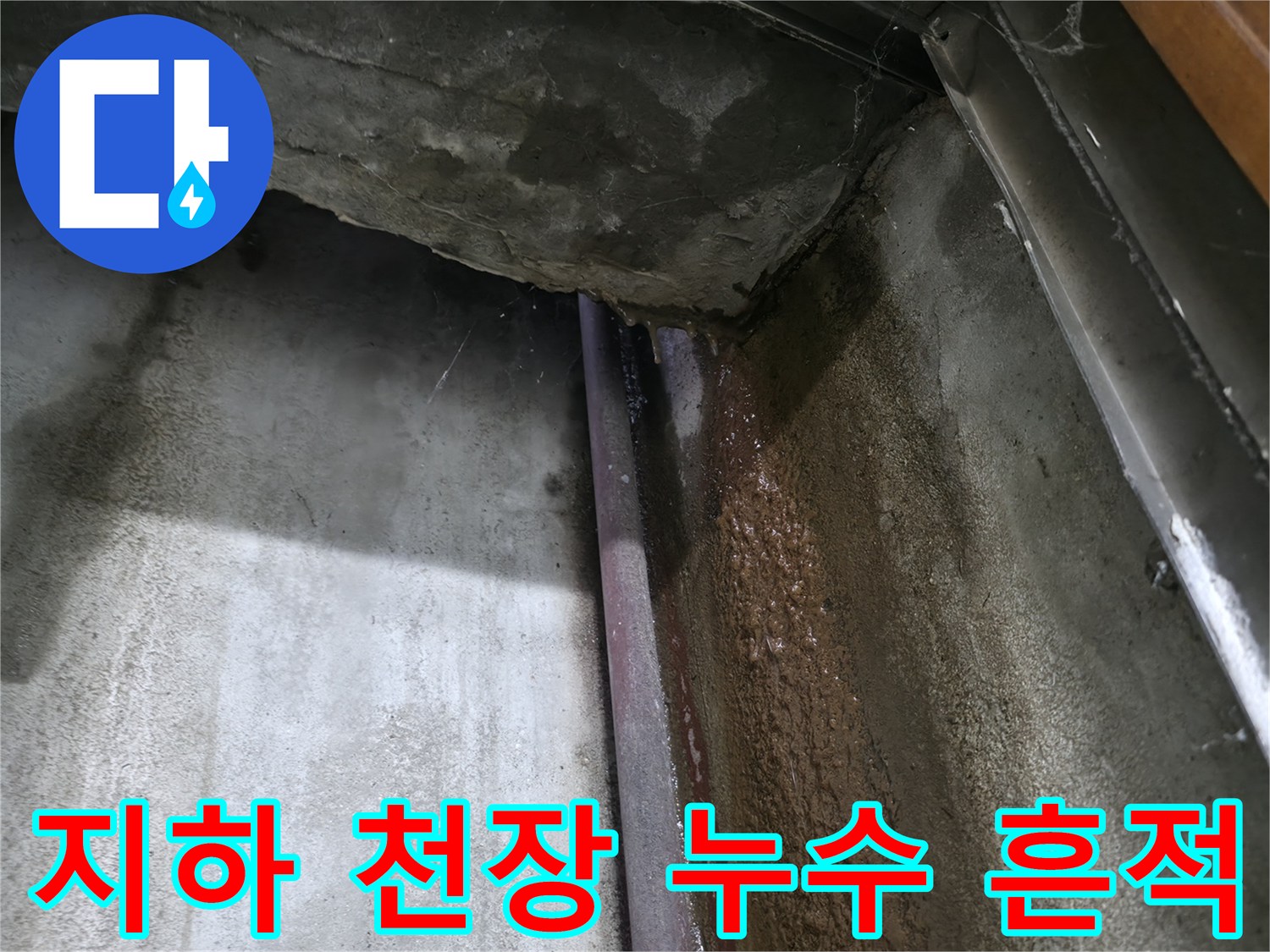 용인 수지구 지하층-천장 배관 주변의 물샘 흔적과 습기 상태