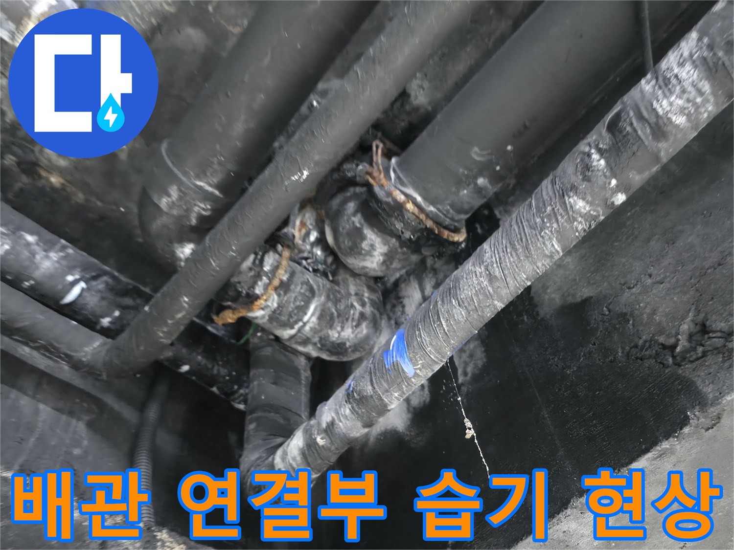 축축하게 젖은-지하층 배관 연결 부위와 오염된 벽면