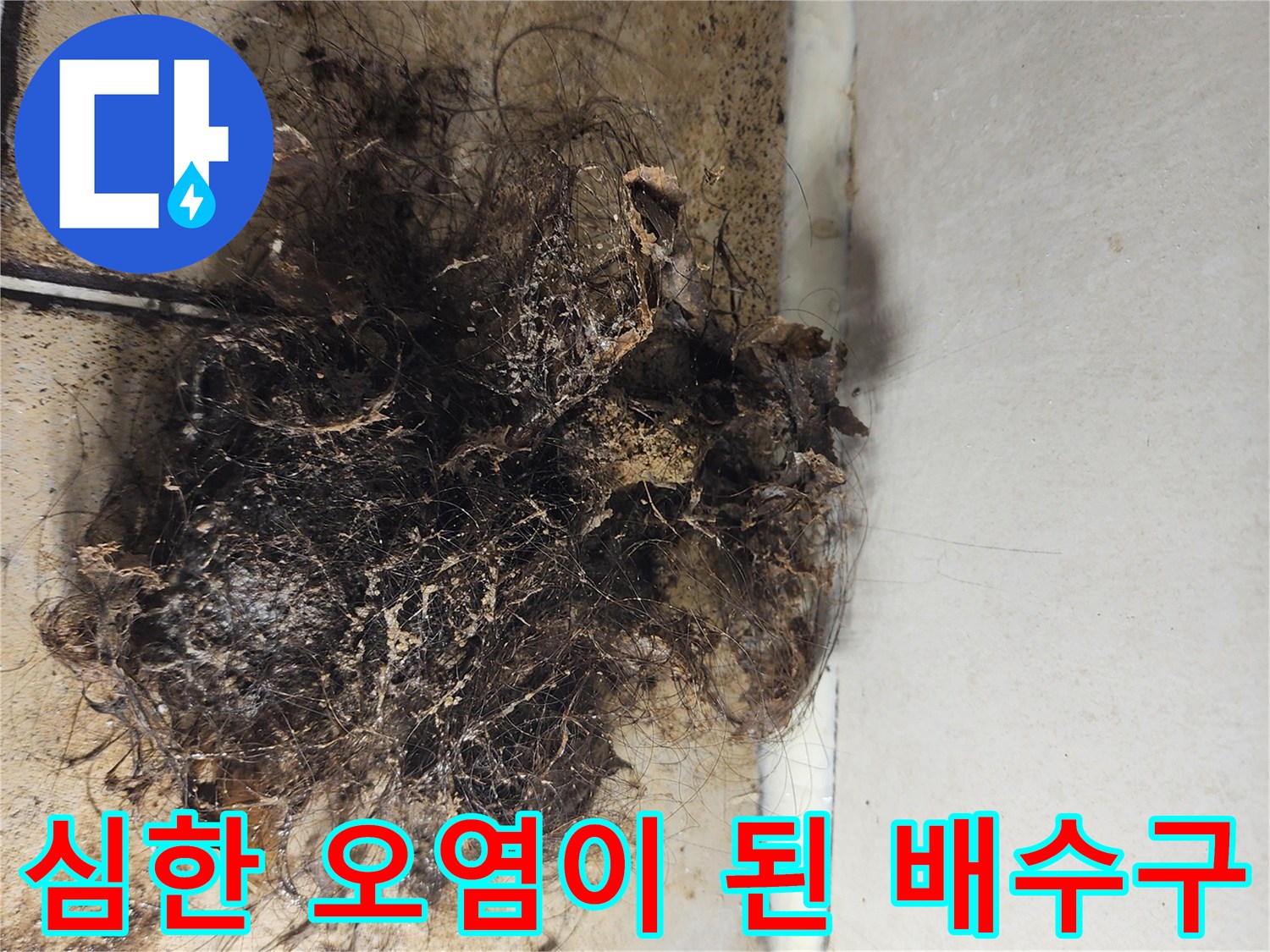 머리카락 뭉치와 오염물이 가득한 배수관 내부