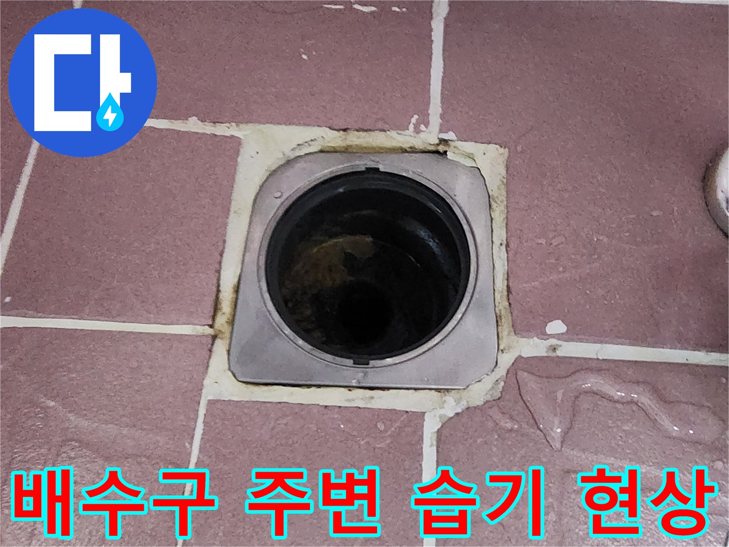 노원구-상계동-욕실-배수구-주변-방수층-손상-부위