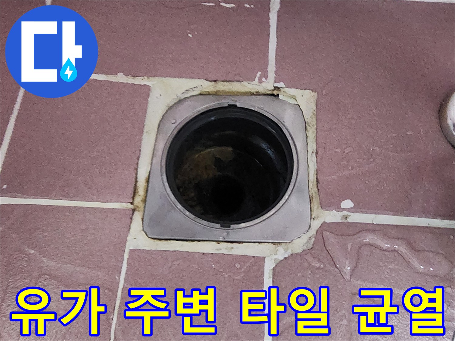 상계동-욕실-배수구-주변-방수층-파손-현장