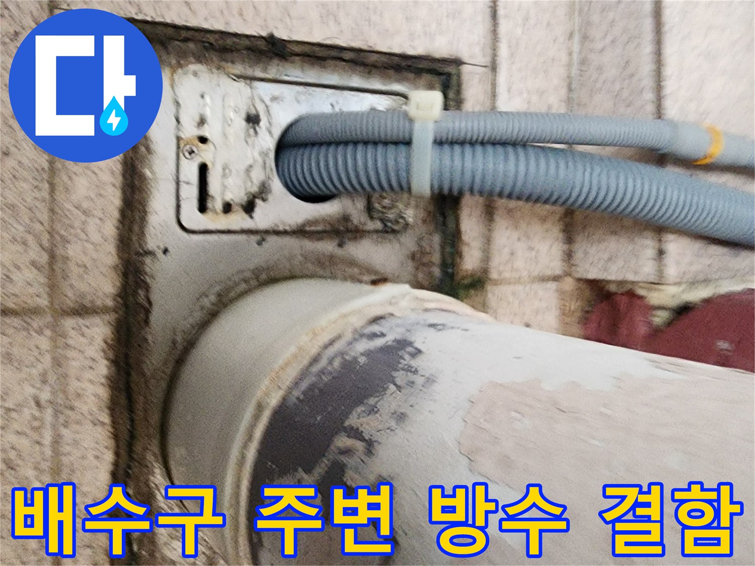 욕실 배수관 유가-주변의 젖은 흔적과 얼룩