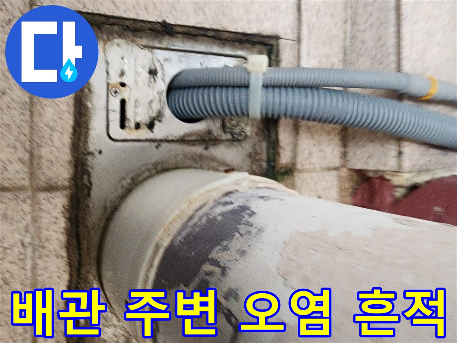 파란색 배관 주위-물샘으로 인한 검은 얼룩 확인